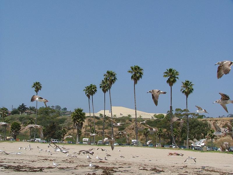 L.A. Beach (16).JPG
